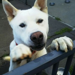 きぃくん☆ハンサム紀州系