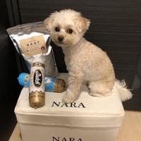 NARA