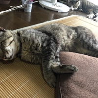 エム