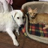 やっと2人とも顔が見える状態でカメラに収めることができました