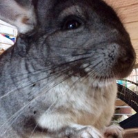 ❤︎ NEO君 ❤︎