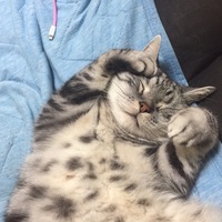 れん