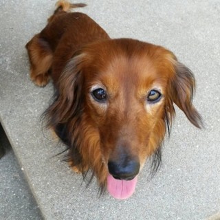 元気いっぱい”サミー”君♪