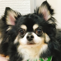 いち
