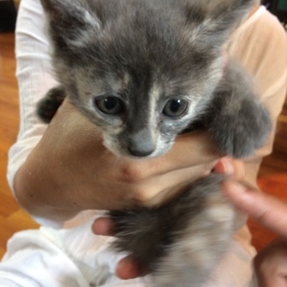 家族になって下さい‼︎