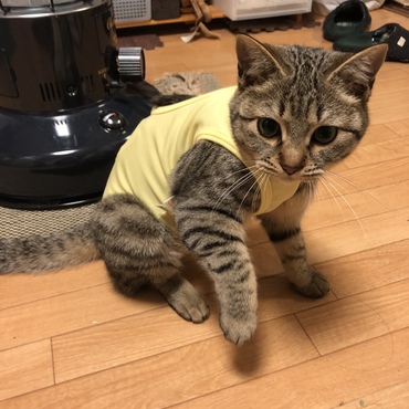 黄色い術着がレオタードみたい