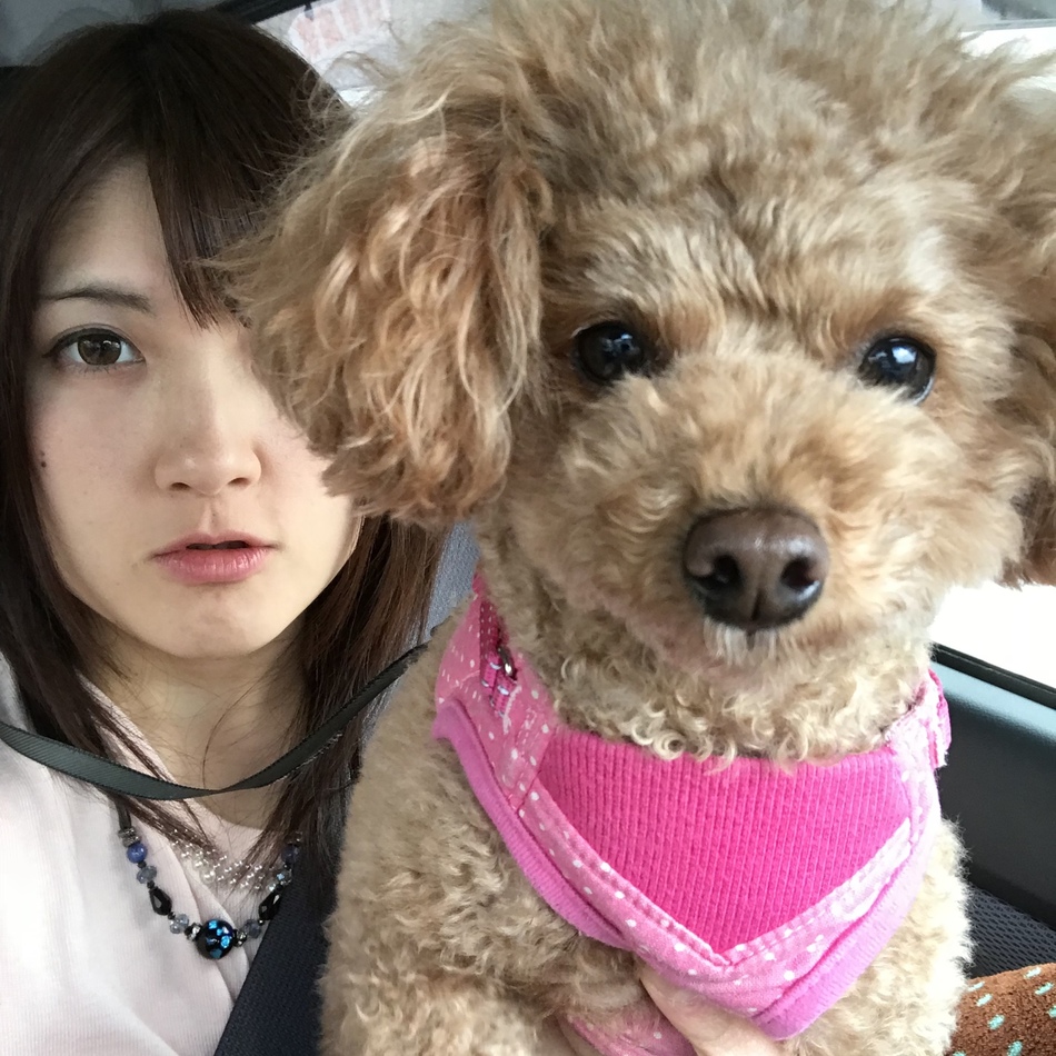 木塚裕子のカバー写真
