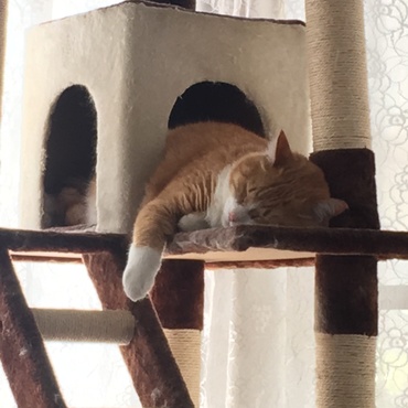 モカの写真