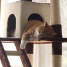 の写真