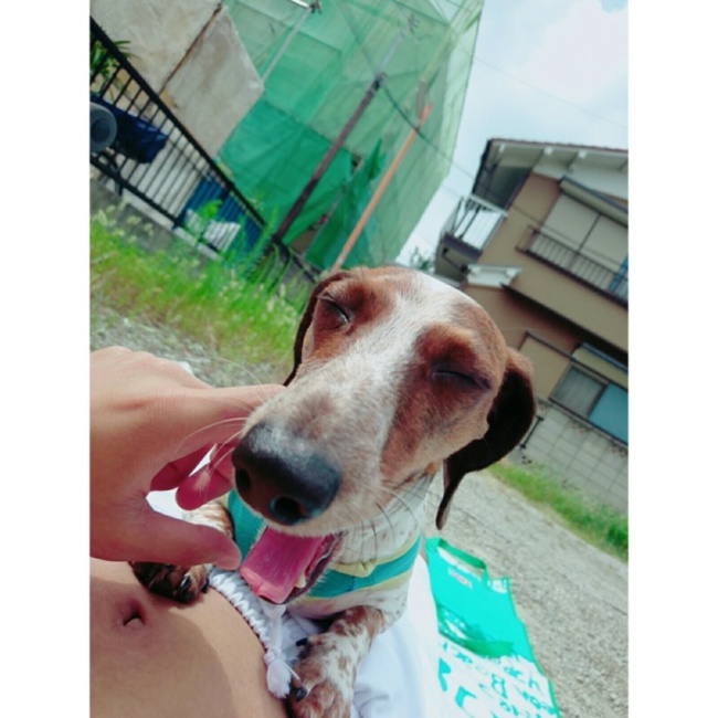 だい523のカバー写真