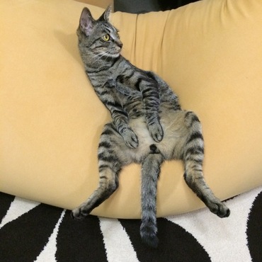 の写真