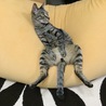 の写真