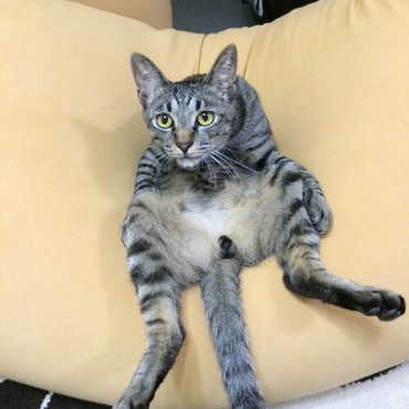 の写真