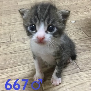 管理番号：OS−667