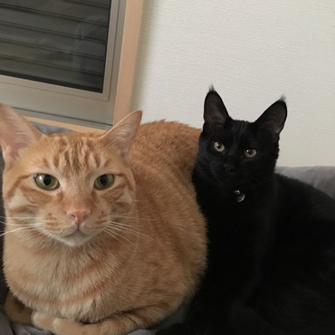 びーちゃんの写真