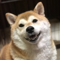 まる