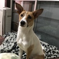 もこちゃん