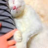  さん