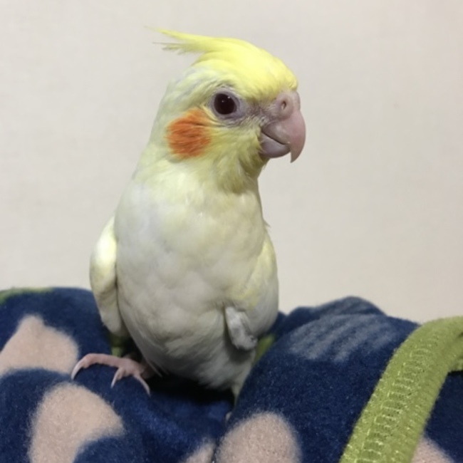K.Y.T.H.Rのカバー写真