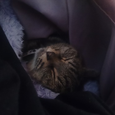 いっしょに布団の中(*´ー｀*)