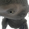 近いって(^^;;