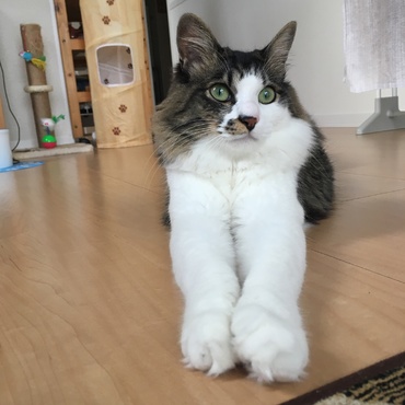 の写真
