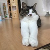 の写真