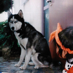 両親は、どうした？・・・そこまでするか！