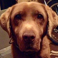 「両親は、どうした？・・・そこまでするか！」サムネイル3