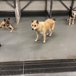 「倉敷を応援下さる皆様へ」サムネイル3