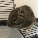 ありがとうございました！