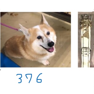 お迎えがありました。