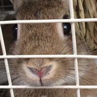 名村 ぱん