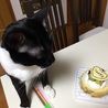 1才の誕生日