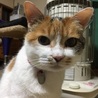 の写真