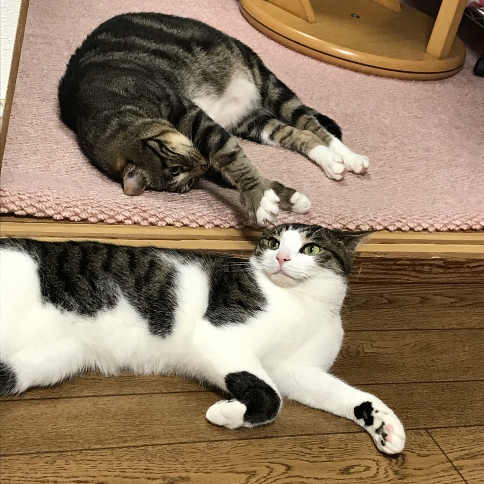 銀時のカバー写真