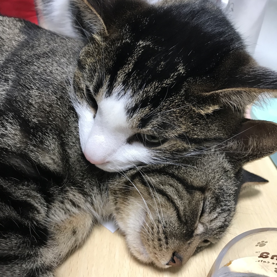 空のカバー写真