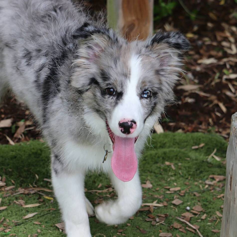 ウルのカバー写真