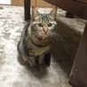 の写真