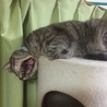 の写真