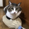 の写真