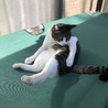 の写真