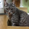 の写真