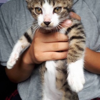 生後２ヶ月　可愛い男の子①