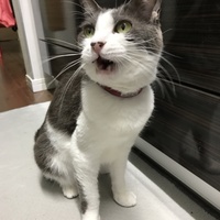ゆう