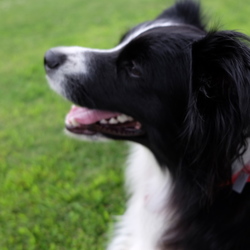 最近はインスタにアップしてます