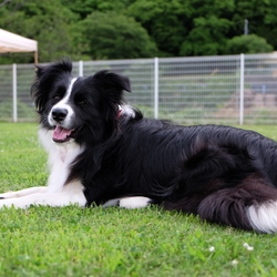 「最近はインスタにアップしてます」サムネイル3