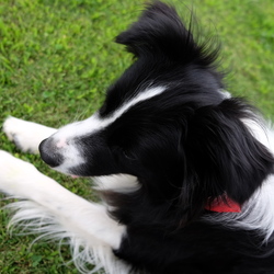 「最近はインスタにアップしてます」サムネイル2