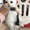 大切な家族を探してます サムネイル2