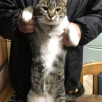 バロム